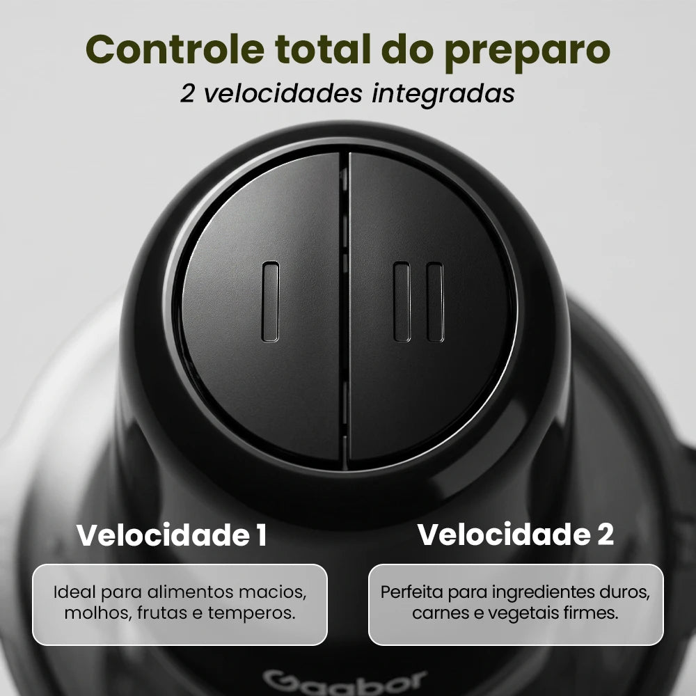 Multi Processador Gaabor