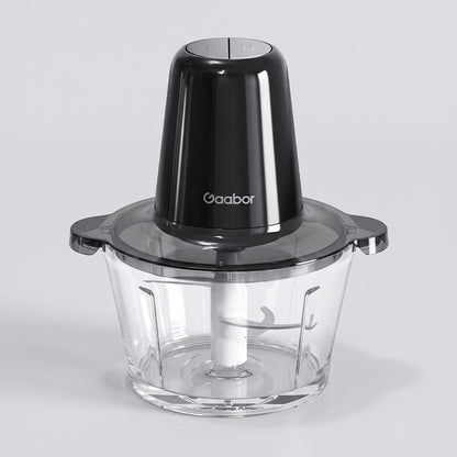 Multi Processador Gaabor
