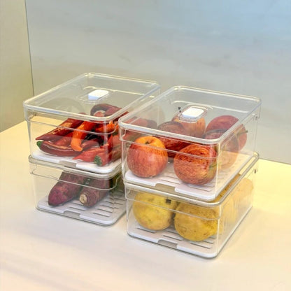 Organizador Clear Fresh 2,2 Litros