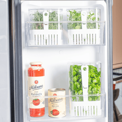 Organizador Pote para Temperos Frescos Clear Fresh 1,5 Litros