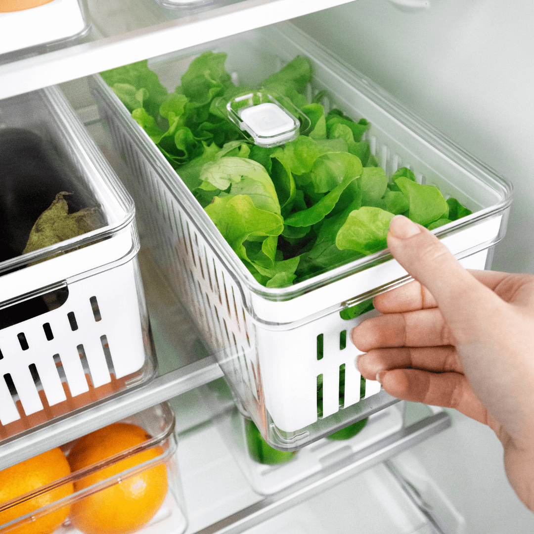 Organizador Clear Fresh com Cesto 5 Litros