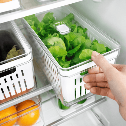 Organizador Clear Fresh com Cesto 5 Litros