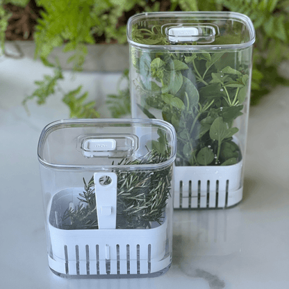 Organizador Pote para Temperos Frescos Clear Fresh 1,5 Litros