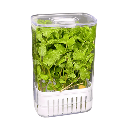 Organizador Pote para Temperos Frescos Clear Fresh 2,3 Litros